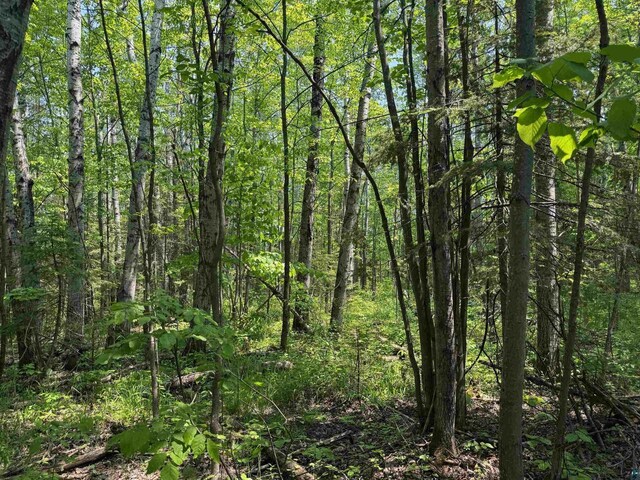 40ACRESON Erkkila Rd, Brule, WI 54820