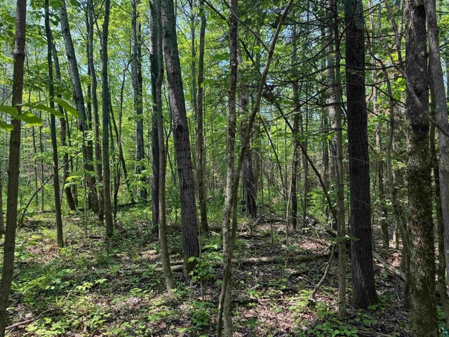 40ACRESON Erkkila Rd, Brule, WI 54820
