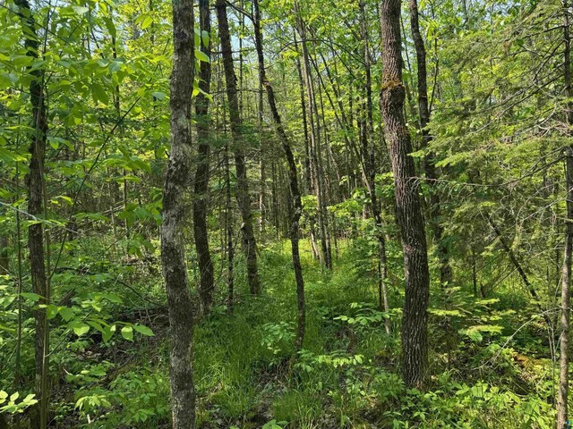 40ACRESON Erkkila Rd, Brule, WI 54820