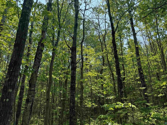 40ACRESON Erkkila Rd, Brule, WI 54820