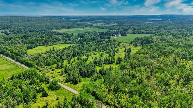 40ACRESON Erkkila Rd, Brule, WI 54820