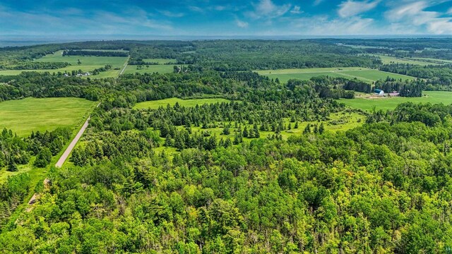 40ACRESON Erkkila Rd, Brule, WI 54820