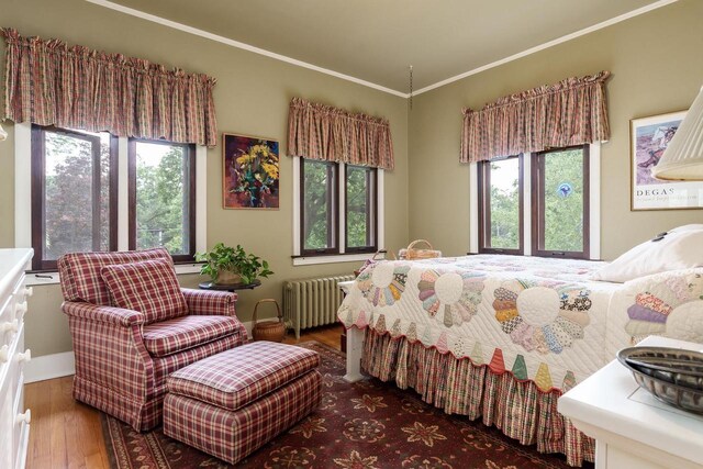 1705 Emerson St, Beloit, WI 53511 - bedroom with radiator, multiple windows, wood finished floors, and ornamental molding
