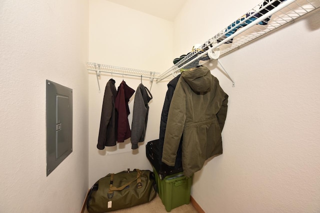 601 E Ogden Ave Unit 411, Milwaukee, WI 53202 - spacious closet with electric panel and carpet flooring