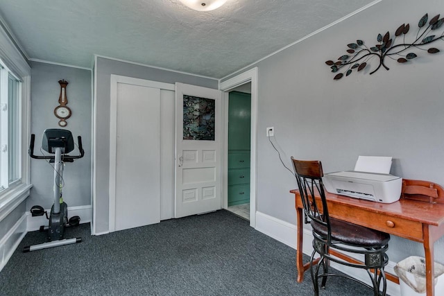 543 N Durkee St, Appleton, WI 54911 - office space with crown molding, a textured ceiling, dark carpet, and baseboards