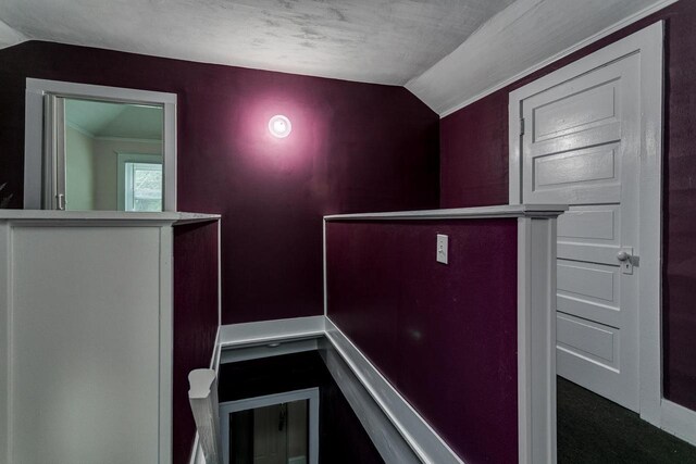 543 N Durkee St, Appleton, WI 54911 - stairway with lofted ceiling and carpet
