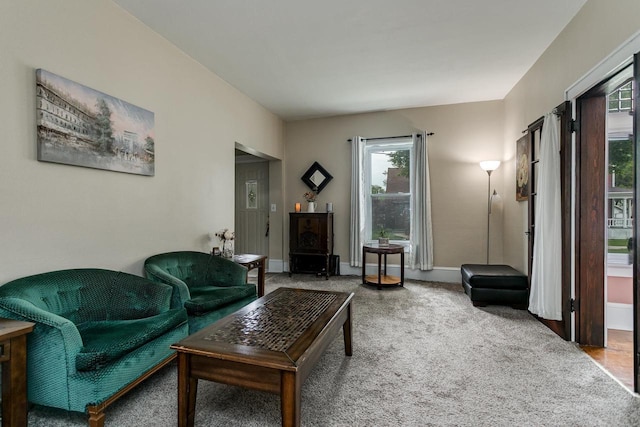 543 N Durkee St, Appleton, WI 54911 - living room with plenty of natural light, carpet, and baseboards