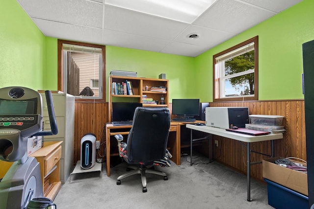 57 Solar Cir, Appleton, WI 54915 - office space with a drop ceiling, wainscoting, carpet flooring, and wooden walls