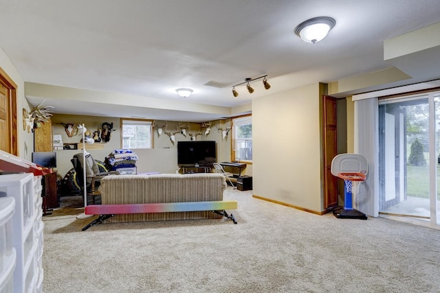 S5472 Mammoth Trl, Baraboo, WI 53913 - carpeted living area featuring track lighting