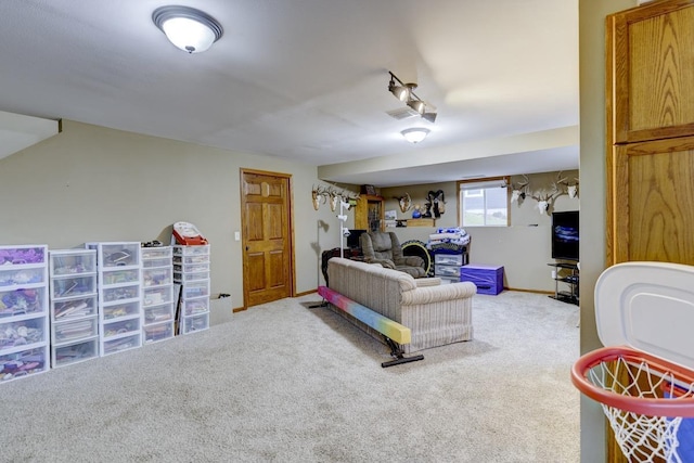S5472 Mammoth Trl, Baraboo, WI 53913 - carpeted living area featuring rail lighting and baseboards