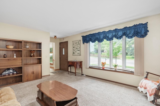 2806 Maple Grove Dr, Madison, WI 53719 - carpeted living area with baseboards