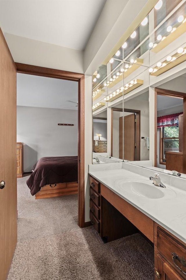 2806 Maple Grove Dr, Madison, WI 53719 - bathroom with carpet floors and vanity