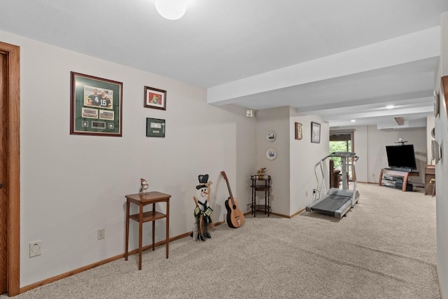 2806 Maple Grove Dr, Madison, WI 53719 - workout area featuring carpet and baseboards