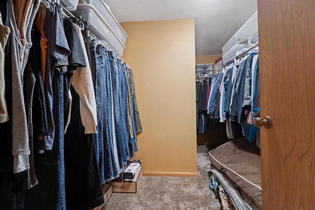 249 Donovan Cir, Rosendale, WI 54974 - spacious closet featuring carpet flooring