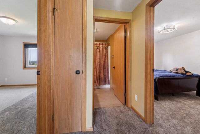 249 Donovan Cir, Rosendale, WI 54974 - corridor with carpet and baseboards