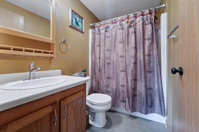 249 Donovan Cir, Rosendale, WI 54974 - bathroom featuring vanity, toilet, and a shower with curtain