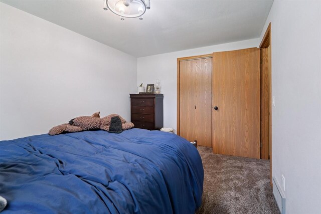249 Donovan Cir, Rosendale, WI 54974 - carpeted bedroom featuring a closet