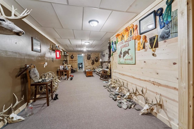 249 Donovan Cir, Rosendale, WI 54974 - sitting room with a drop ceiling, carpet, and wood walls