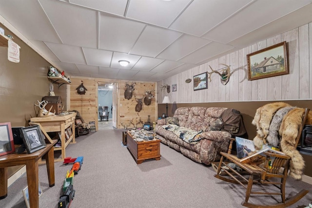 249 Donovan Cir, Rosendale, WI 54974 - carpeted living room featuring wooden walls