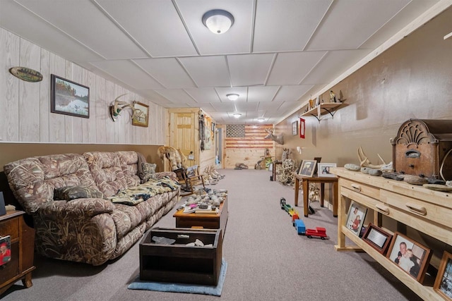 249 Donovan Cir, Rosendale, WI 54974 - carpeted living area featuring wood walls