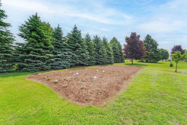 249 Donovan Cir, Rosendale, WI 54974 - view of green lawn