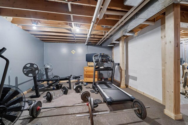 249 Donovan Cir, Rosendale, WI 54974 - exercise room featuring baseboards and carpet flooring