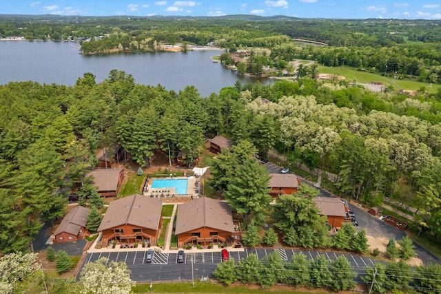 1251 Canyon Rd Unit 40, Wisconsin Dells, WI 53965 - aerial view of a forest and a nearby body of water