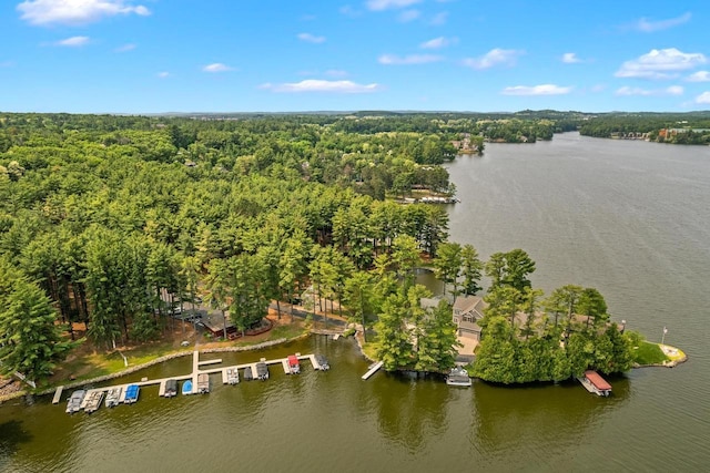 1251 Canyon Rd Unit 40, Wisconsin Dells, WI 53965 - aerial view of property's location with a large body of water and a forest