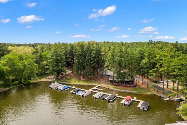 1251 Canyon Rd Unit 40, Wisconsin Dells, WI 53965 - drone / aerial view of a nearby body of water and a forest