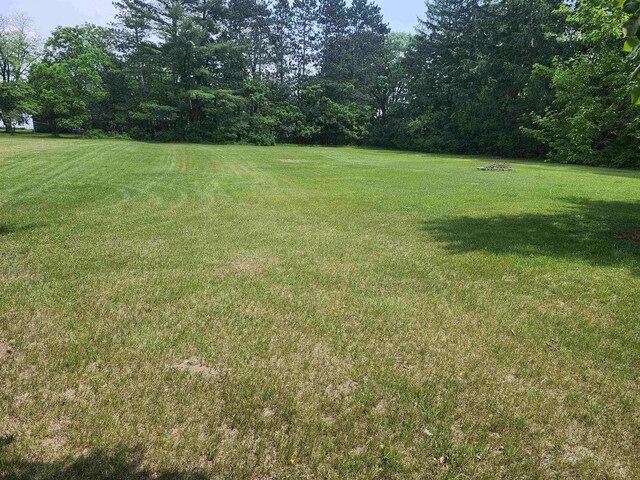 547 S Cambridge St, Wautoma, WI 54982 - view of green lawn