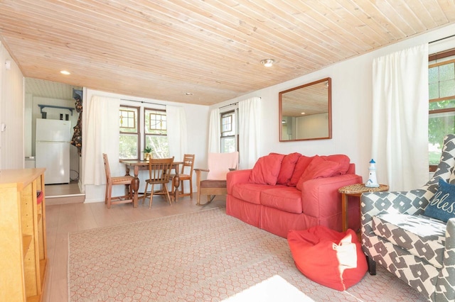 W4943 County Rd S, Horicon, WI 53032 - living area featuring wood ceiling, wood finished floors, and healthy amount of natural light