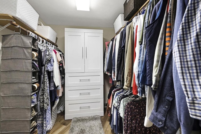 6500 E Decorah Ave, Oshkosh, WI 54902 - walk in closet featuring wood finished floors