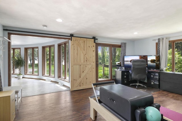 6500 E Decorah Ave, Oshkosh, WI 54902 - office space with wood finished floors, recessed lighting, and a barn door