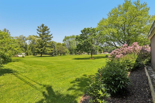 1406 E Oakwood Rd, Oak Creek, WI 53154 - view of green lawn