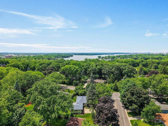 412 Frost Woods Rd, Monona, WI 53716 - drone / aerial view of a large body of water