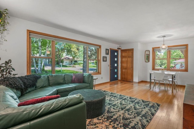 412 Frost Woods Rd, Monona, WI 53716 - living room with plenty of natural light and light wood-type flooring