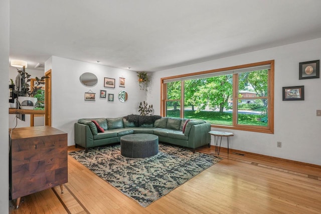 412 Frost Woods Rd, Monona, WI 53716 - living area with wood-type flooring and baseboards