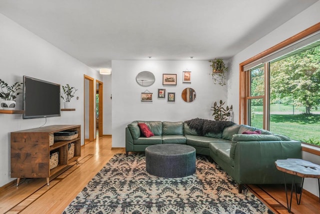 412 Frost Woods Rd, Monona, WI 53716 - living area with light wood-style floors