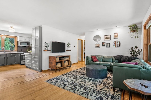 412 Frost Woods Rd, Monona, WI 53716 - living area featuring light wood-style floors