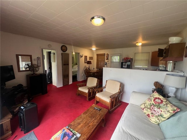 21953 Spirit Lake Access Rd, Frederic, WI 54837 - view of carpeted living room