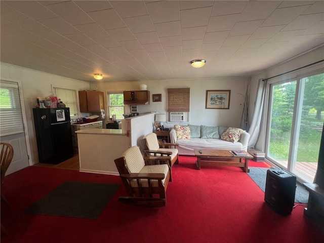 21953 Spirit Lake Access Rd, Frederic, WI 54837 - carpeted living room featuring healthy amount of natural light