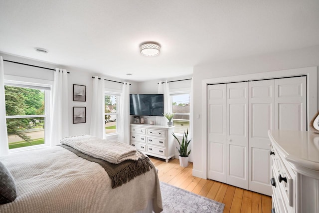 2205 Salisbury Rd, West Bend, WI 53090 - bedroom with multiple windows, light wood-style flooring, and a closet