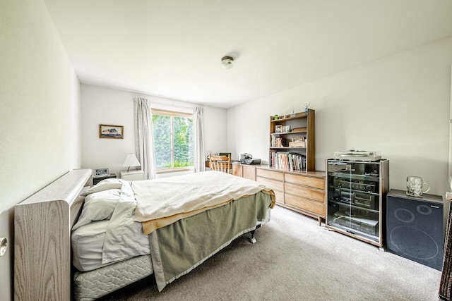 N163W19422 Cedar Run Dr Unit A6, Jackson, WI 53037 - bedroom featuring light colored carpet