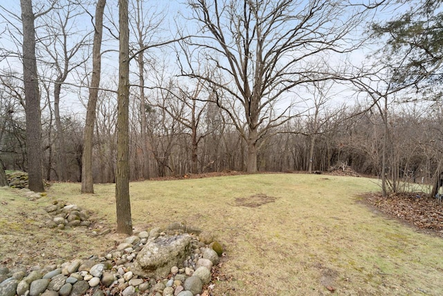 100 Accipiter Ct, Burlington, WI 53105 - view of grassy yard with a forest view