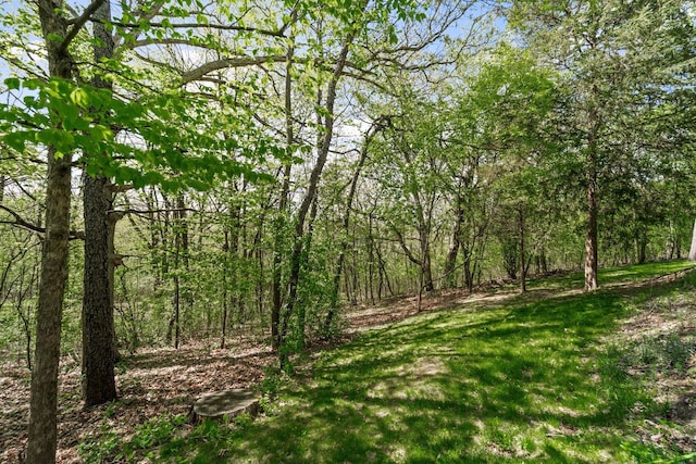 100 Accipiter Ct, Burlington, WI 53105 - view of wooded area