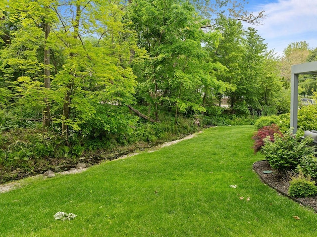 170 N Lakeshore Dr, Fontana, WI 53125 - view of green lawn