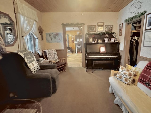 1657 N Elm Rd, Junction City, WI 54443 - living area with carpet floors and wooden ceiling