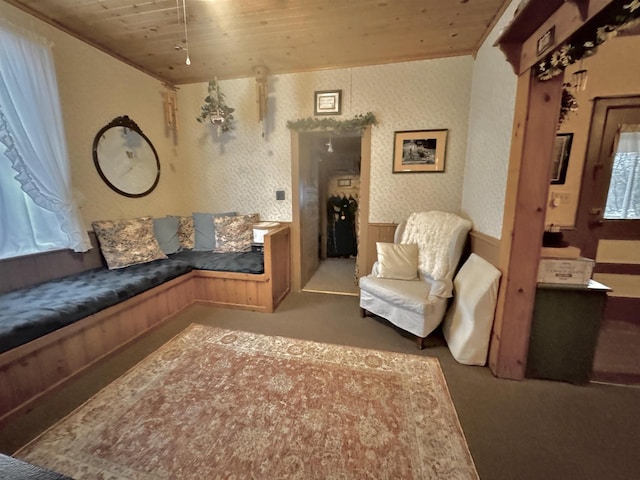 1657 N Elm Rd, Junction City, WI 54443 - living area featuring carpet flooring and wood ceiling