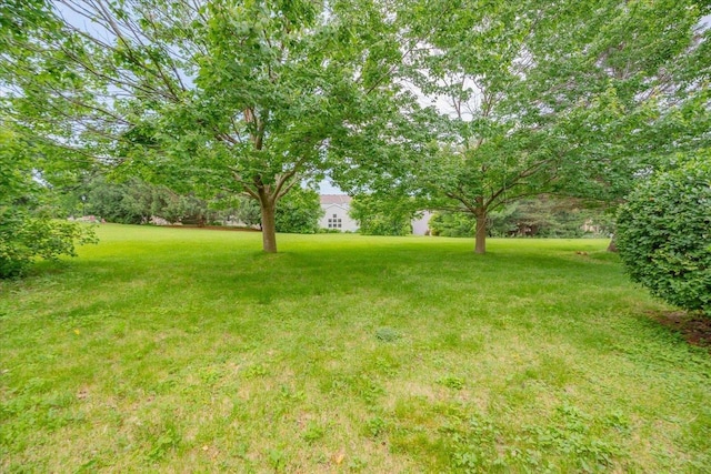 1230 N Westfield Rd, Madison, WI 53717 - view of grassy yard