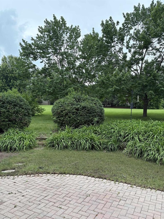 1230 N Westfield Rd, Madison, WI 53717 - view of patio / terrace